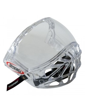 BOSPORT Master Guard Full Face Protector and Visor,Ice Hockey,Roller Hockey