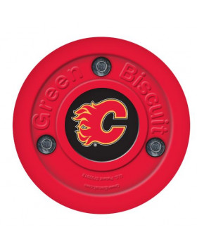 Green Biscuit Calgary Flames Off Ice Training Hockey Puck